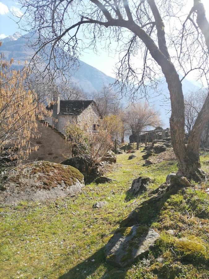 Casa Belgeri - Bed & Breakfast Dongio Exterior photo